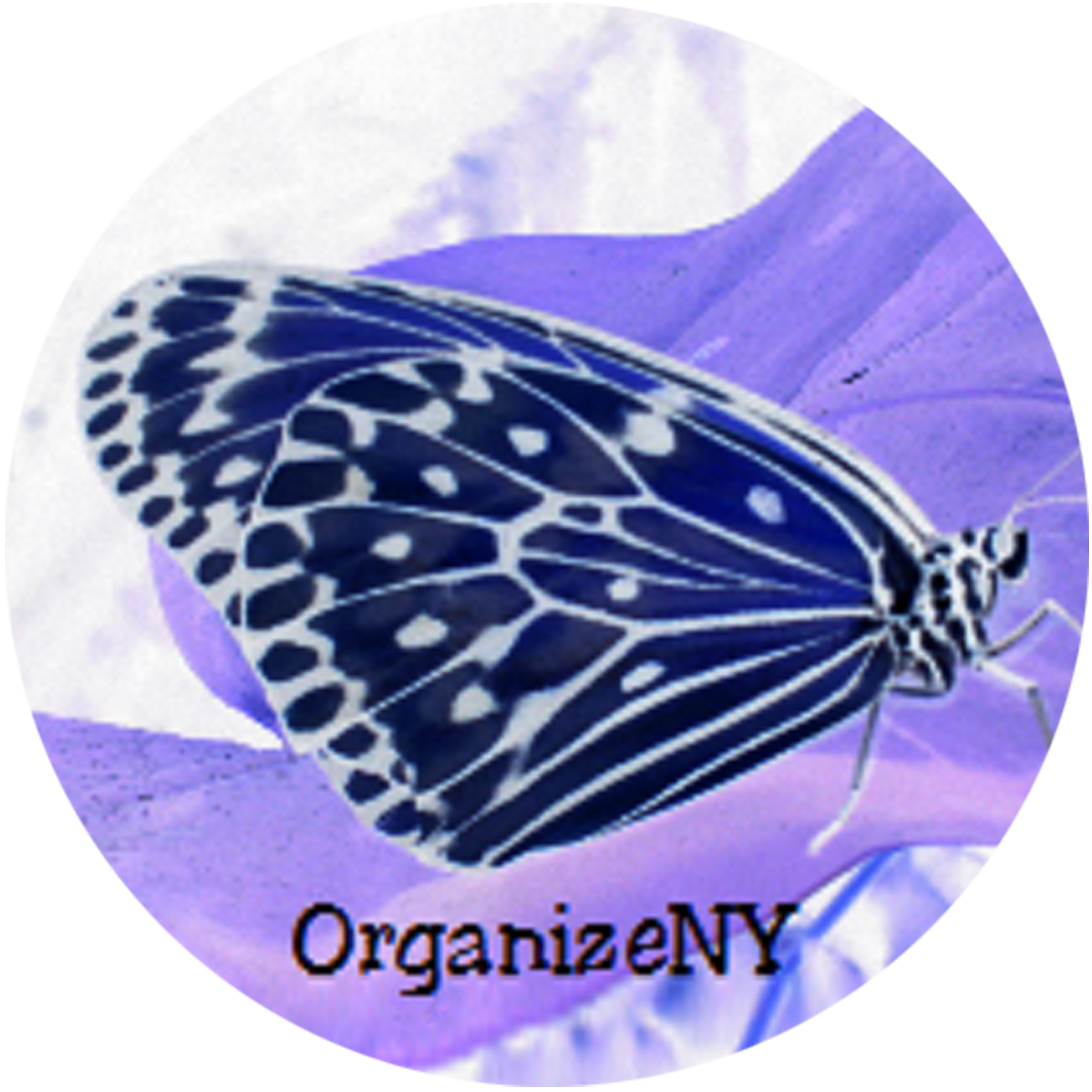 OrganizeNY logo